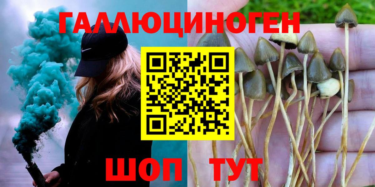 Галлюциногенные грибы мухоморы  Вход с VPN  Черногорск  Галлюциногенные грибы MAGIC MUSHROOMS 