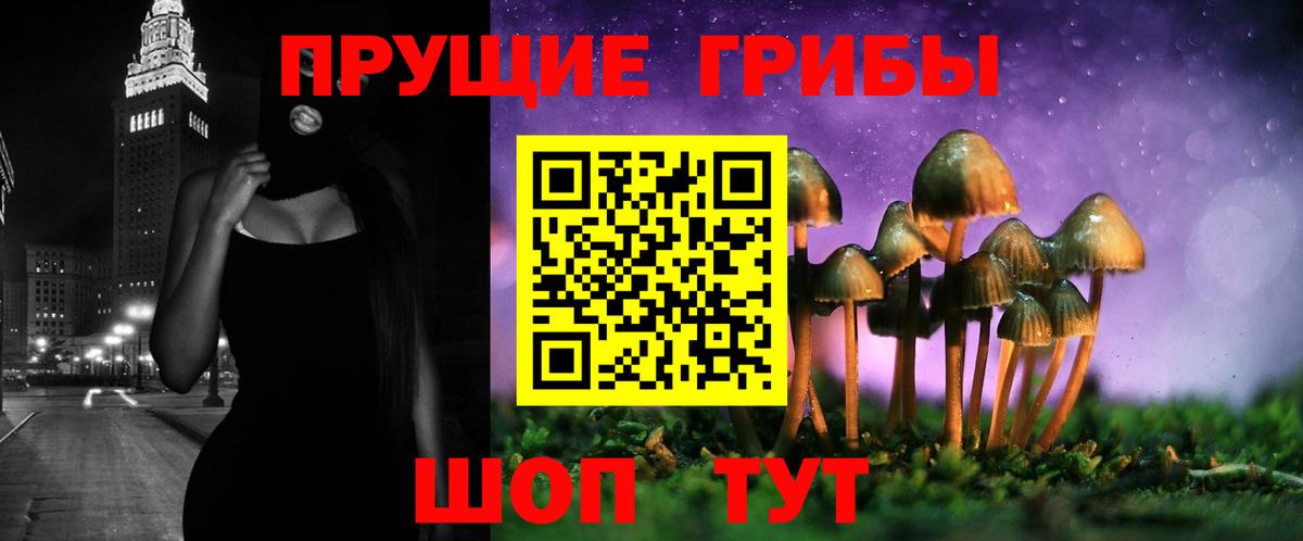 Галлюциногенные грибы Cubensis Черногорск